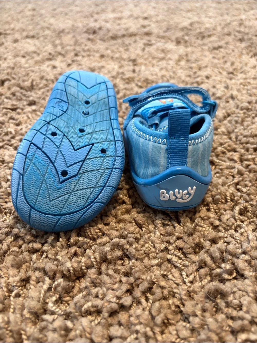 Bluey Kids Water Shoes